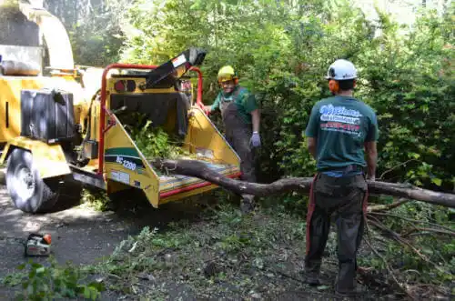 tree services New Salisbury